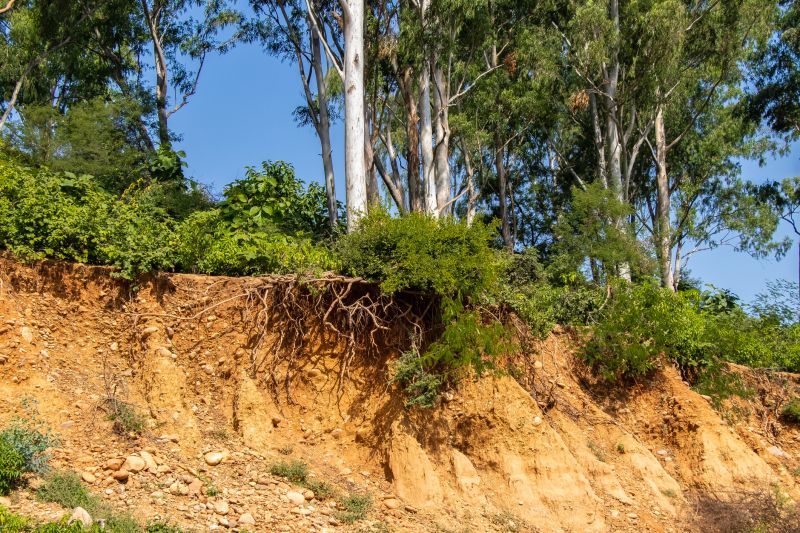 Erosion Control Methods